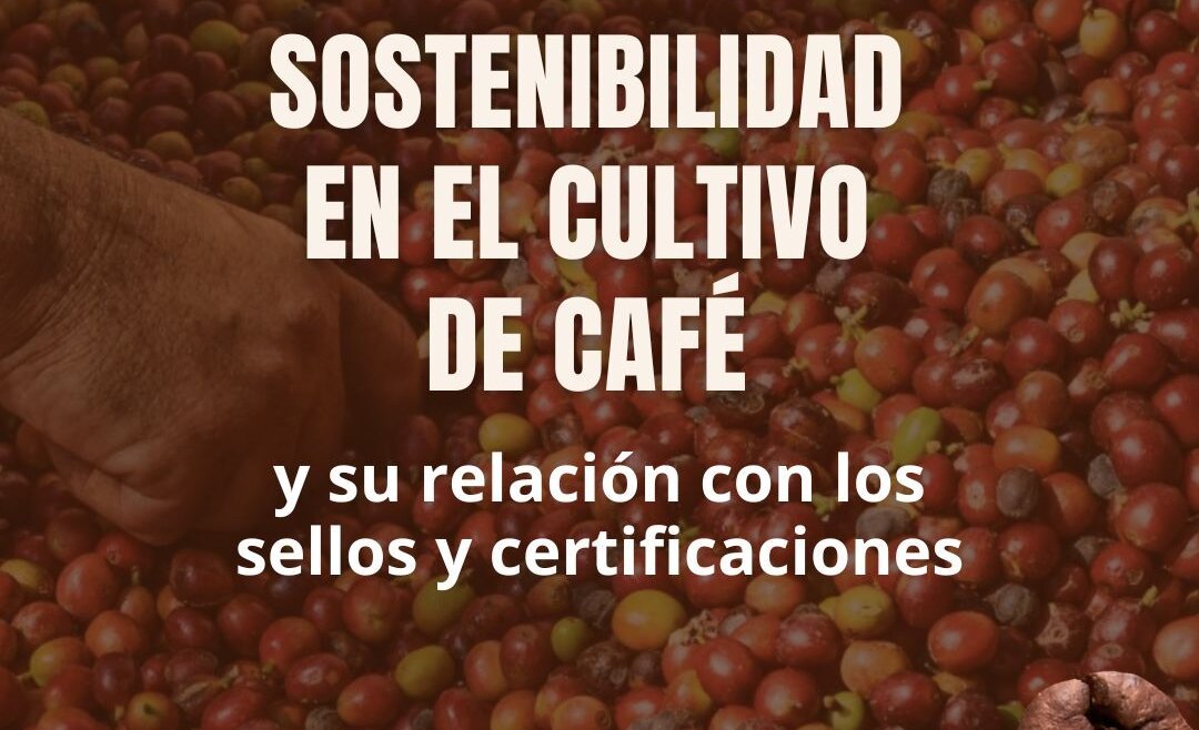Sustainability in coffee cultivation and its relationship with seals and certifications.
