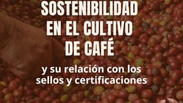 Sustainability in coffee cultivation and its relationship with seals and certifications.
