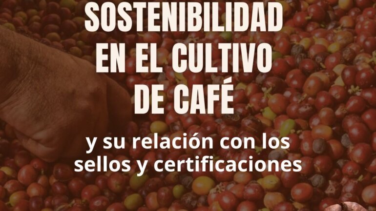 Sustainability in coffee cultivation and its relationship with seals and certifications.